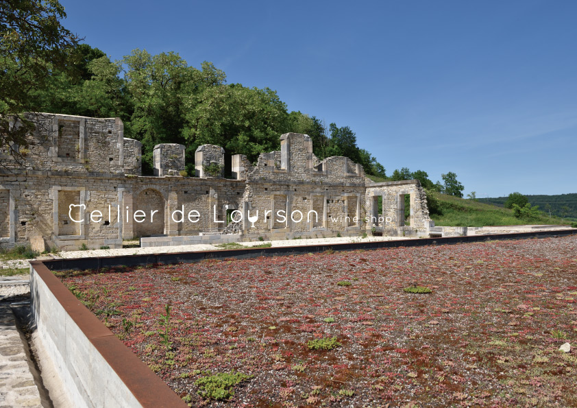 22年5月 ブルゴーニュ地方 ワイン産地訪問 サン・ヴィヴァン修道院の遺跡 再訪